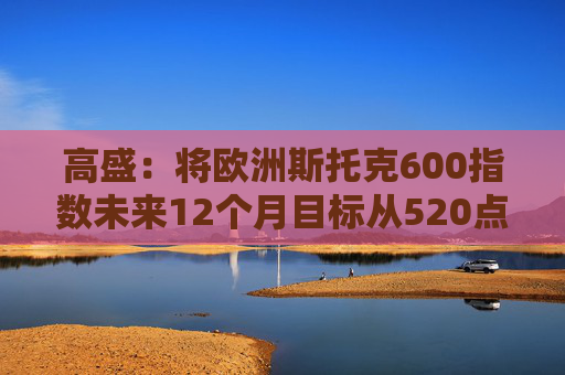 高盛：将欧洲斯托克600指数未来12个月目标从520点上调至570点  第1张