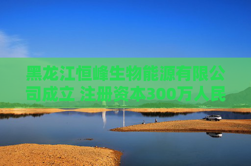 黑龙江恒峰生物能源有限公司成立 注册资本300万人民币