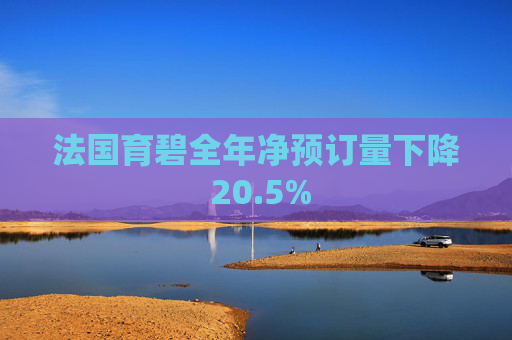 法国育碧全年净预订量下降 20.5%  第1张