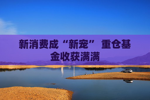 新消费成“新宠” 重仓基金收获满满  第1张