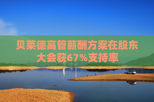 贝莱德高管薪酬方案在股东大会获67%支持率
