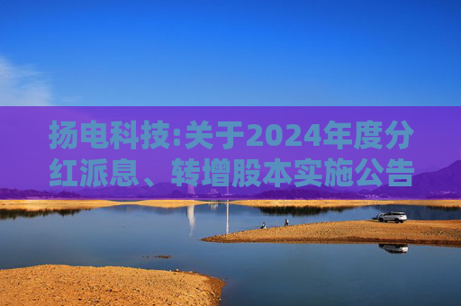 扬电科技:关于2024年度分红派息、转增股本实施公告