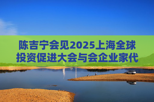 陈吉宁会见2025上海全球投资促进大会与会企业家代表