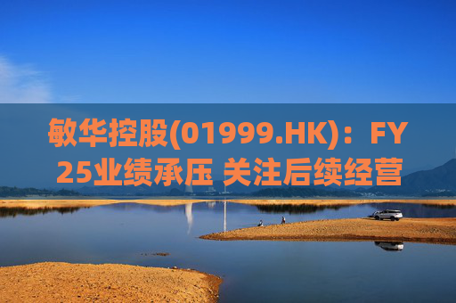 敏华控股(01999.HK)：FY25业绩承压 关注后续经营改善