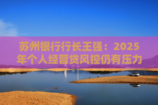 苏州银行行长王强：2025年个人经营贷风控仍有压力，但不会造成冲击