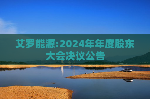 艾罗能源:2024年年度股东大会决议公告