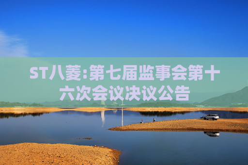 ST八菱:第七届监事会第十六次会议决议公告  第1张