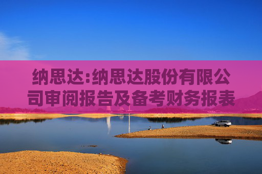 纳思达:纳思达股份有限公司审阅报告及备考财务报表