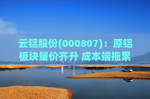 云铝股份(000807):原铝板块量价齐升 成本端拖累Q4业绩 第1张 云铝股份(000807):原铝板块量价齐升 成本端拖累Q4业绩 第1张