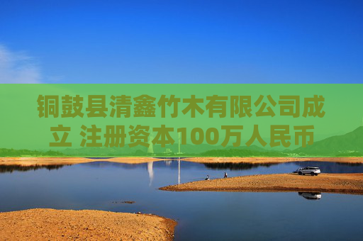 铜鼓县清鑫竹木有限公司成立 注册资本100万人民币
