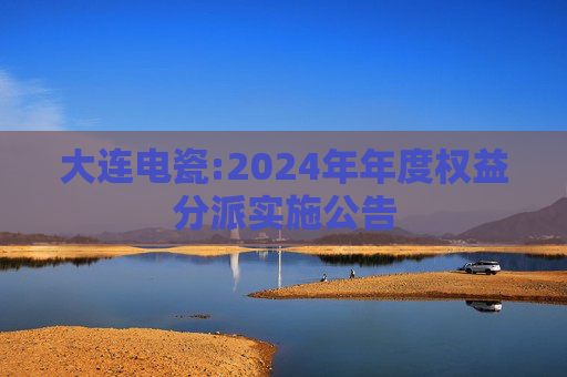 大连电瓷:2024年年度权益分派实施公告