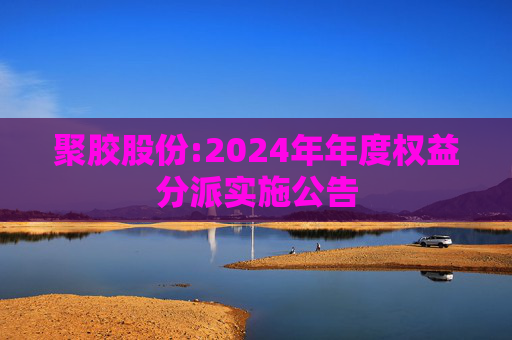 聚胶股份:2024年年度权益分派实施公告