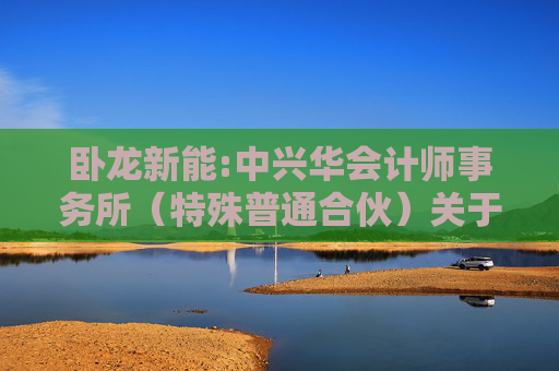 卧龙新能:中兴华会计师事务所（特殊普通合伙）关于不存在《上市公司监管指引第7号――上市公司重大资产重组相关股票异常交易监管》第十二条不得参与任何上市公司重大资产重组情形的说明