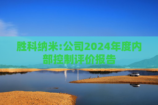 胜科纳米:公司2024年度内部控制评价报告  第1张
