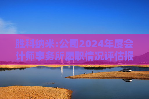 胜科纳米:公司2024年度会计师事务所履职情况评估报告