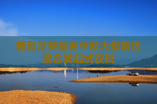 新型浮费基金中欧大盘智选混合发起式获批