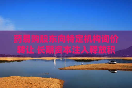 药易购股东向特定机构询价转让 长期资本注入释放积极信号