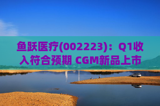 鱼跃医疗(002223)：Q1收入符合预期 CGM新品上市丰富增长动能