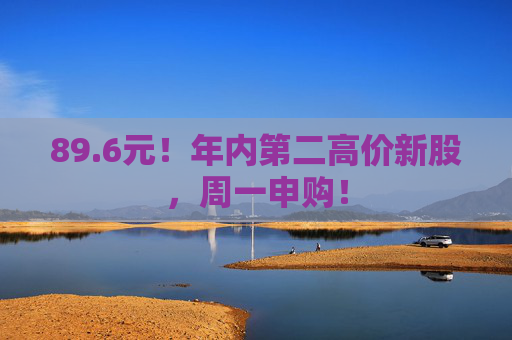89.6元！年内第二高价新股，周一申购！