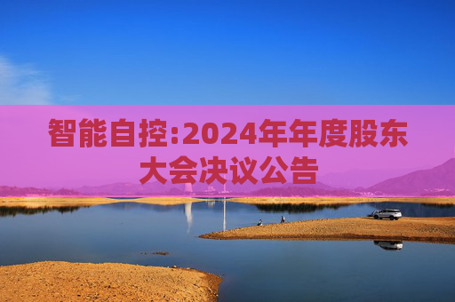 智能自控:2024年年度股东大会决议公告