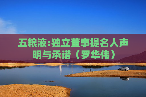 五粮液:独立董事提名人声明与承诺（罗华伟）