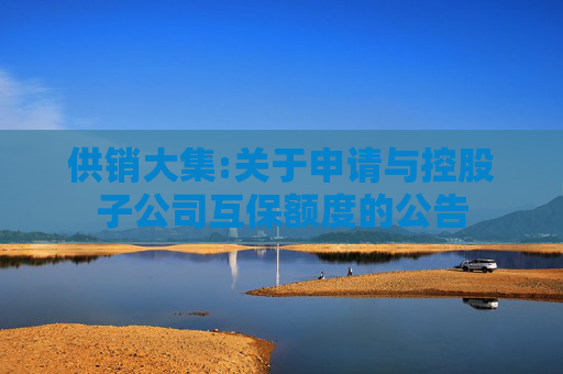 供销大集:关于申请与控股子公司互保额度的公告  第1张