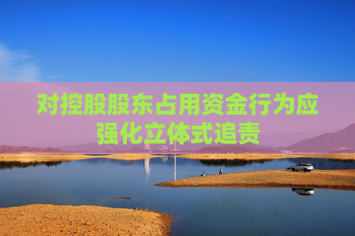 对控股股东占用资金行为应强化立体式追责