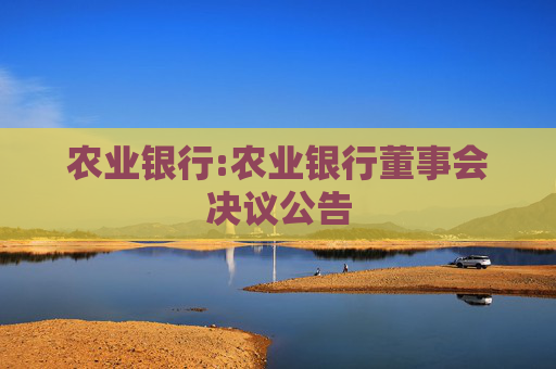 农业银行:农业银行董事会决议公告