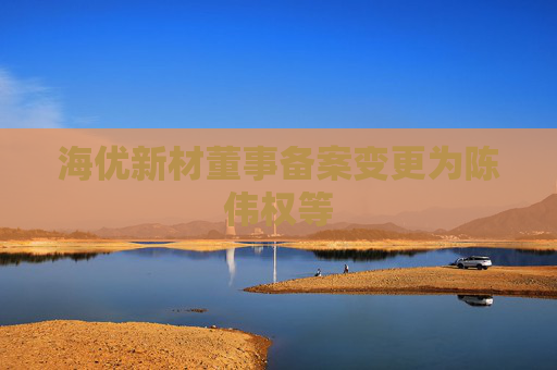 海优新材董事备案变更为陈伟权等