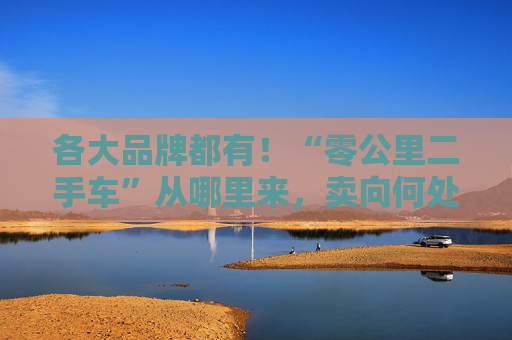各大品牌都有！“零公里二手车”从哪里来，卖向何处，影响有多大？
