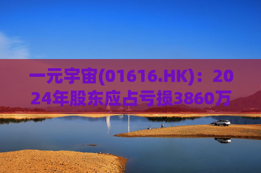一元宇宙(01616.HK)：2024年股东应占亏损3860万元