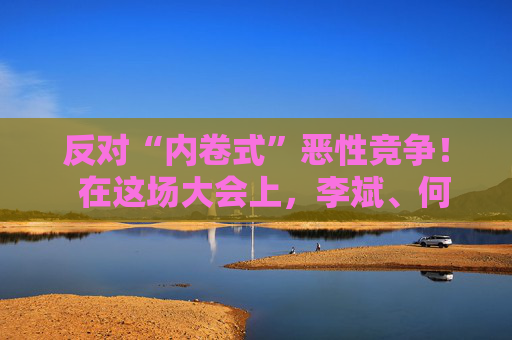 反对“内卷式”恶性竞争！  在这场大会上，李斌、何小鹏、閤先庆等表态“价格战” 第1张