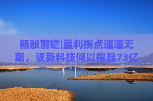 新股前瞻|盈利拐点遥遥无期，驭势科技何以撑起73亿元估值？
