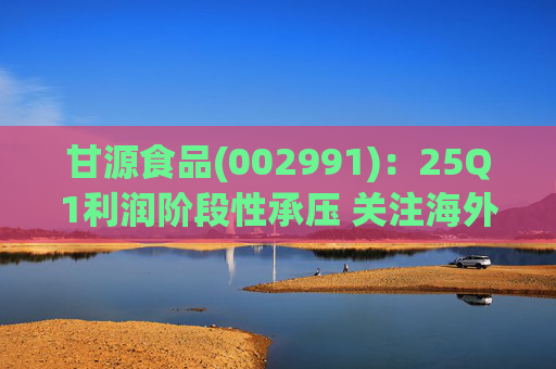 甘源食品(002991)：25Q1利润阶段性承压 关注海外市场突破