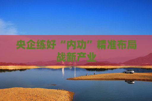 央企练好“内功”精准布局战新产业