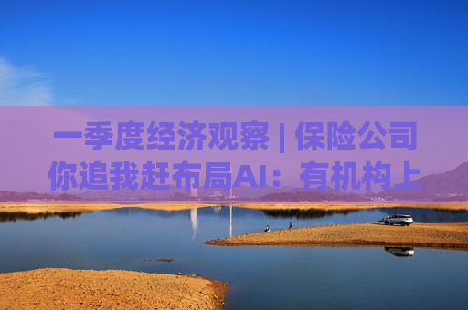 一季度经济观察 | 保险公司你追我赶布局AI：有机构上线3天生成30万行代码，效率提升8%