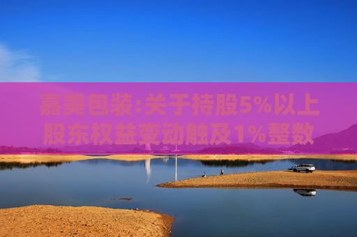 嘉美包装:关于持股5%以上股东权益变动触及1%整数倍暨提前终止减持计划的公告