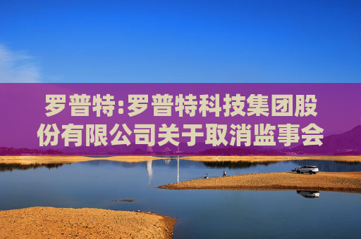 罗普特:罗普特科技集团股份有限公司关于取消监事会、修订《公司章程》及相关制度并办理工商变更登记的公告