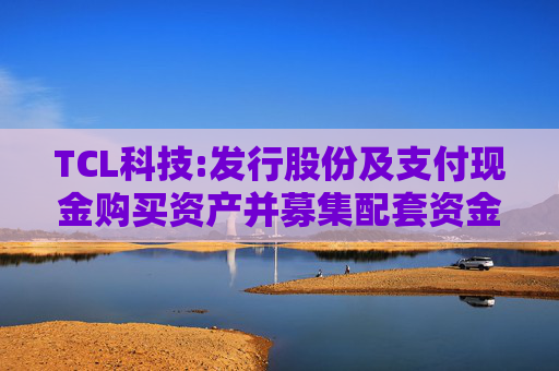 TCL科技:发行股份及支付现金购买资产并募集配套资金报告书（草案）（注册稿）