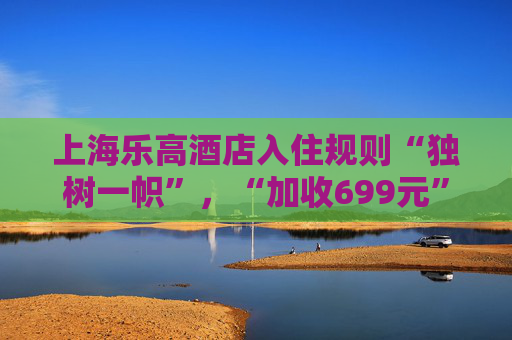 上海乐高酒店入住规则“独树一帜”，“加收699元”引质疑