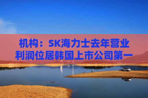 机构：SK海力士去年营业利润位居韩国上市公司第一，首次超过三星电子