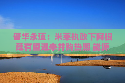 普华永道：米莱执政下阿根廷有望迎来并购热潮 能源领域成焦点