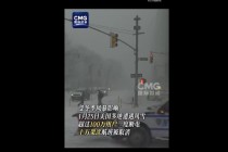 美国芝加哥出现负电价，发生了什么？