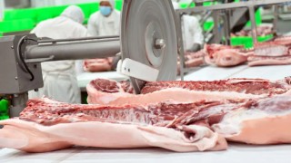 产能利用率已达100%，牧原后续计划每年再投产1-2个新屠宰厂