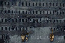 牛弹琴：这是开战以来，最让人心碎的一张照片