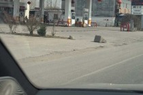 顾客曝光“中园石化”太像“中国石化”，涉事加油站称名字经过审批，当地：将调查是否“傍名牌”