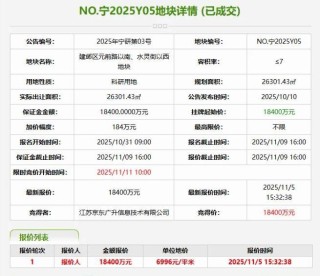 1.84亿元拿下科研地块 京东研发中心正式入驻河西中央科创区