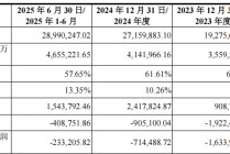 长鑫科技冲刺科创板：三年亏损超300亿元，预计最快明年盈利