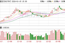 天际股份：2025年年度业绩预告