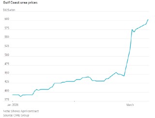能源危机给一群农业微生物带来“救赎机会”